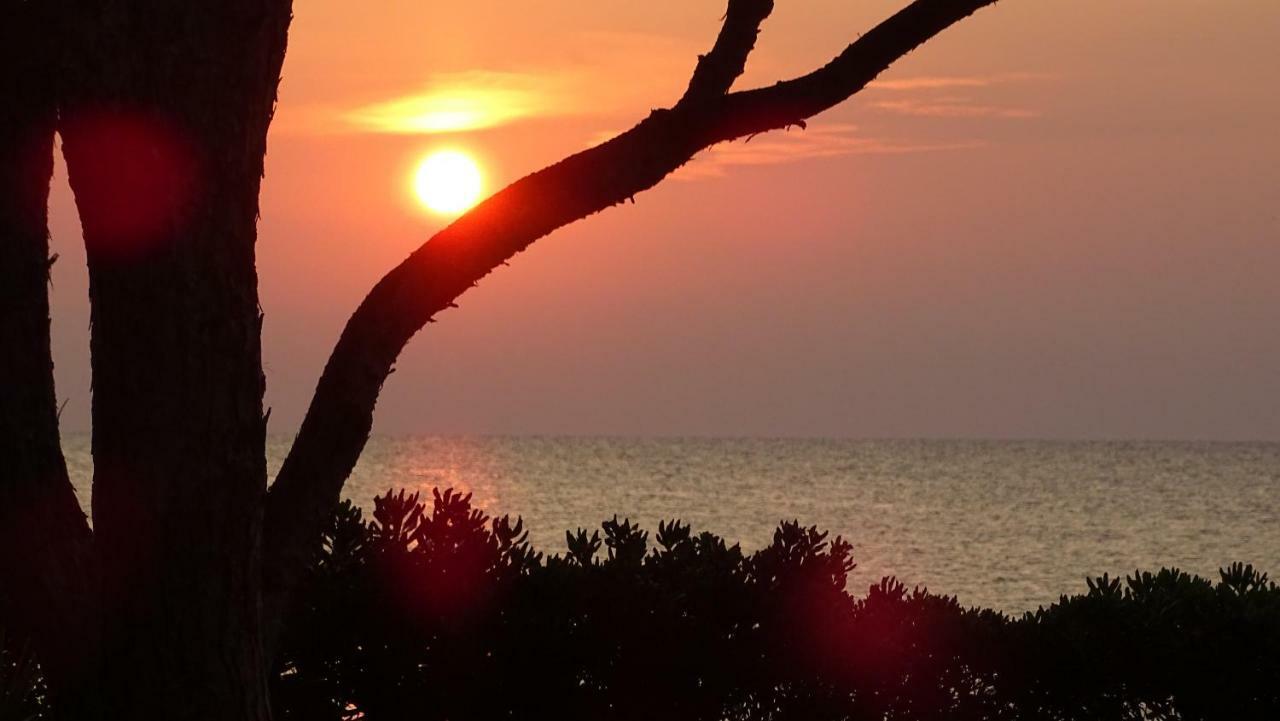 Budoni - The House Of The Rising Sun ภายนอก รูปภาพ
